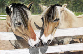 Fine Art Pet Portrait by Artist Donna Aldrich-Fontaine - Norwegian Fiords Horses.jpg